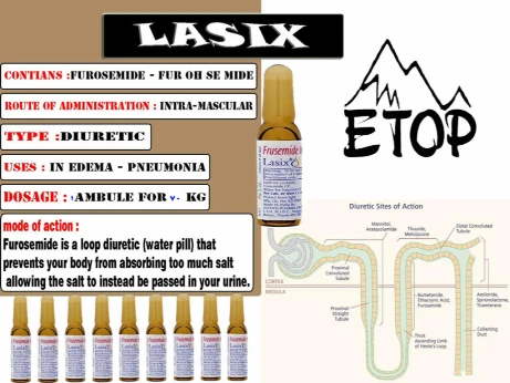 etop.jpg | 95238