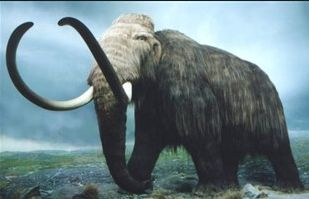 Global Climate Changes - How Can Man Avoid Extinction? | 96695