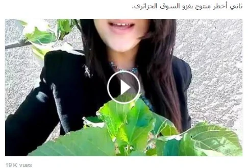 ثاني أخطر منتوج يغزو السوق الجزائري.