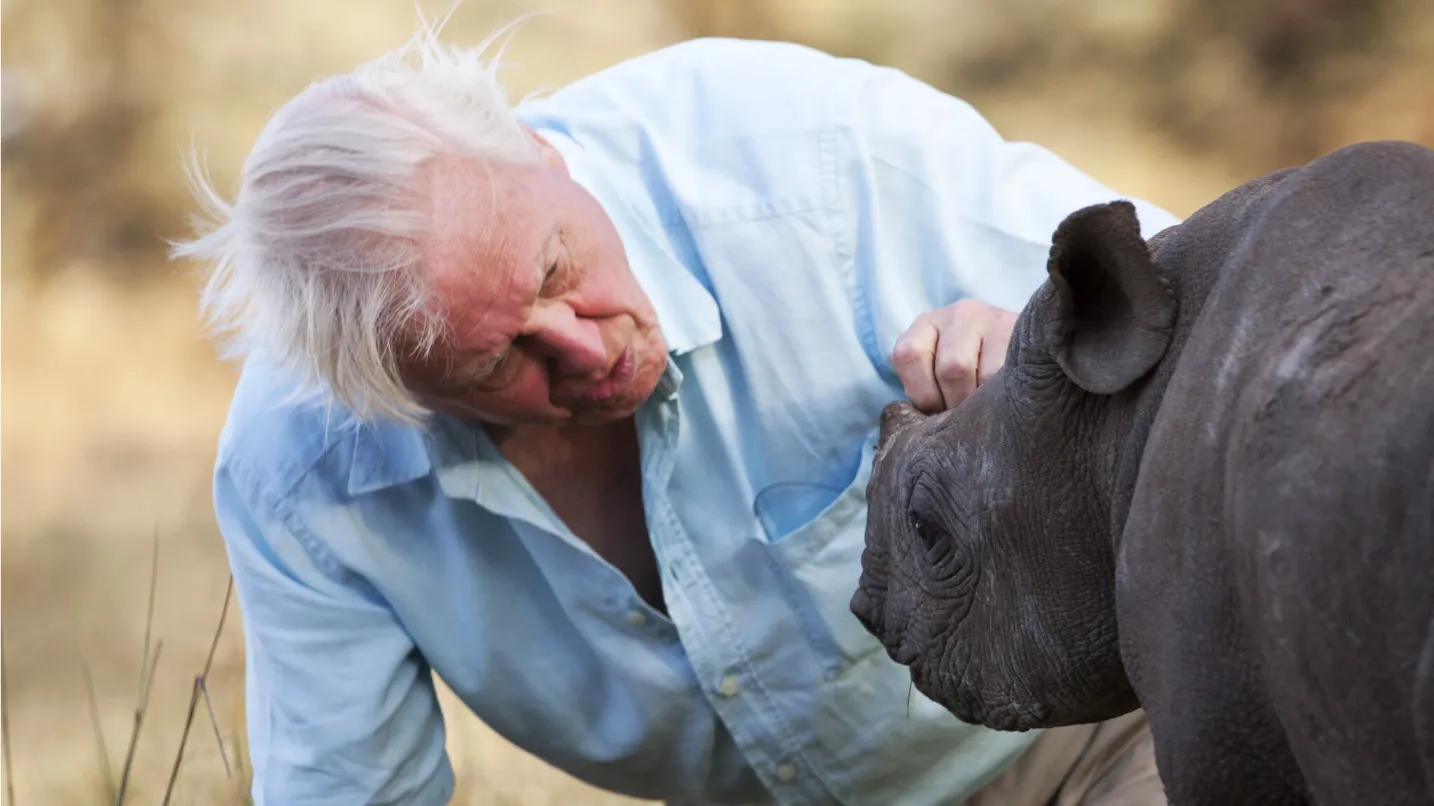 BBC Earth | Home Free Download By Linkaty.us - Best URL